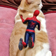 Illustration for article titled Spider-Man Shows His Sensitive Side with Cats
